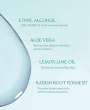 Load image into Gallery viewer, Touchland - Power Mist Frosted Mint